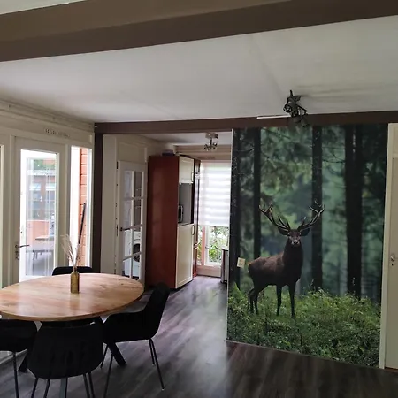 In Het Bos Hébergement de vacances *