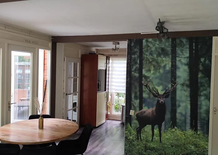 In Het Bos Feriehus *